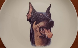 Doberman lautanen