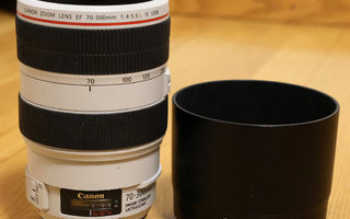 Canon EF 70-300mm f/4-5.6L IS USM